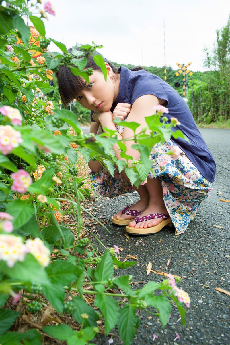 松香有雨